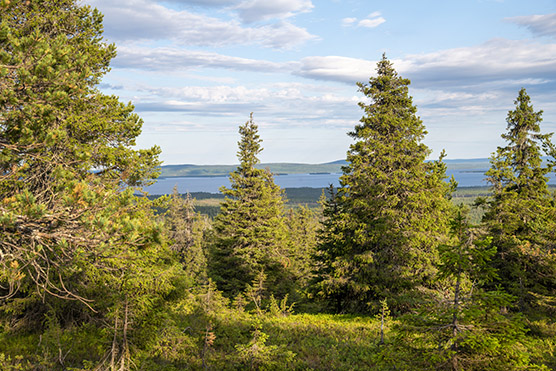 Järvinäkymä tunturin rinteeltä